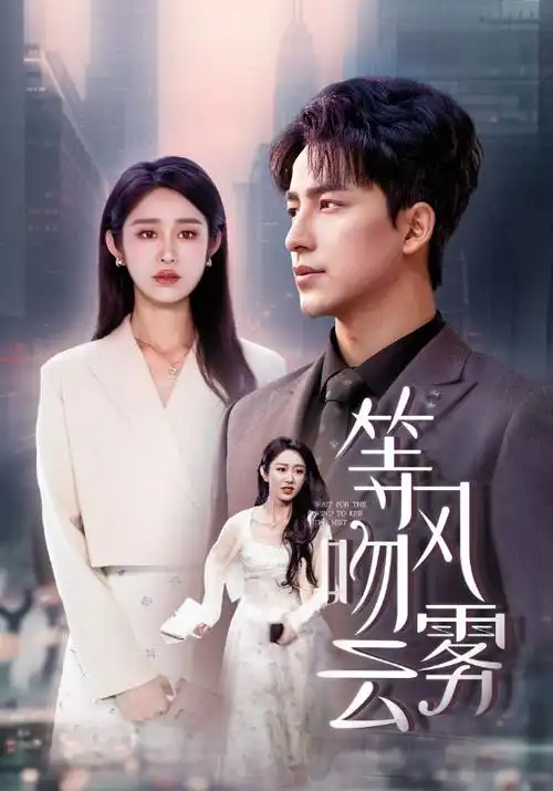 韩剧秘密森林海报