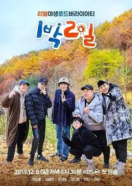 韩国综艺认识的哥哥海报